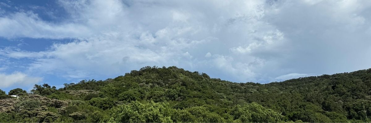 Doğada Öğrenme Açık Hava Eğitimi Ve Keşif