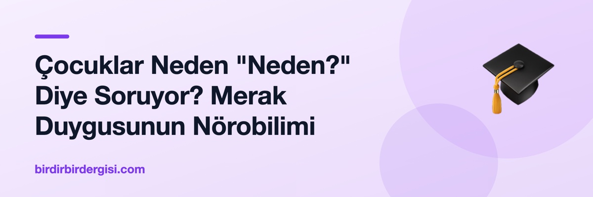 Çocuklar Neden "Neden?" Diye Soruyor? Merak Duygusunun Nörobilimi